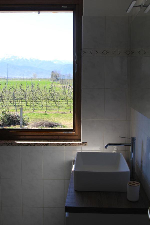 Casa Dell'Amicizia Apartment Castellani Bagian luar foto