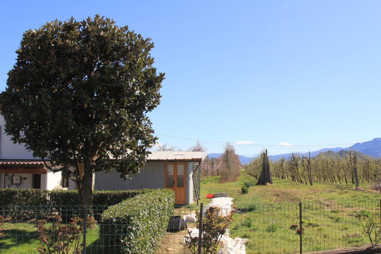 Casa Dell'Amicizia Apartment Castellani Bagian luar foto